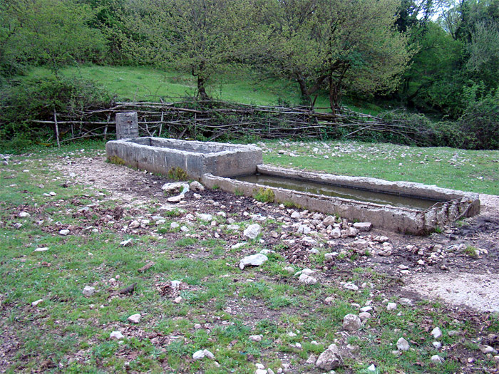 Fontanili del Lazio